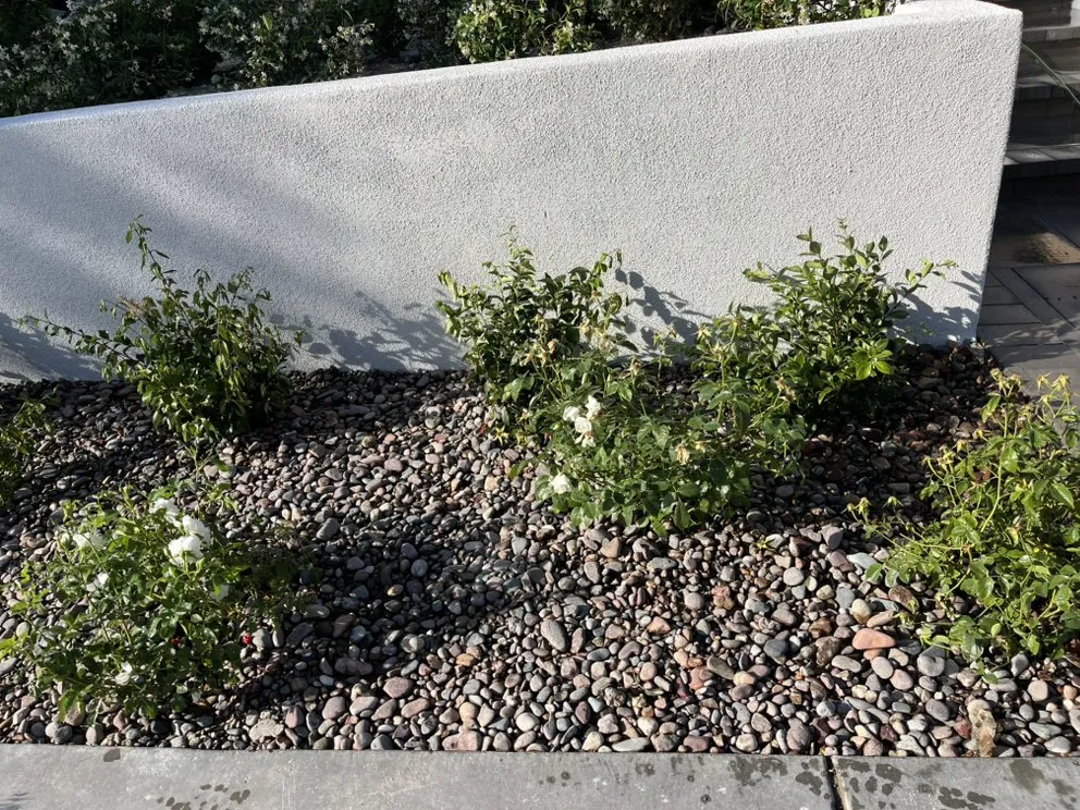 Custom outdoor landscaping experts serving North Las Vegas, NV - Growaseed Landscape