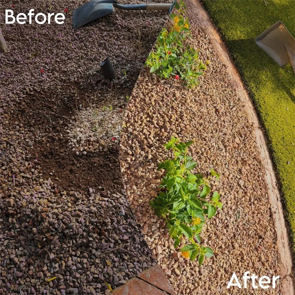 Professional landscaping services for outdoor upgrades in North Las Vegas, NV by Growaseed Landscape