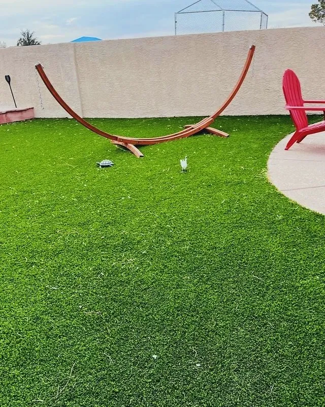 Expert yard cleanup service in North Las Vegas, NV by Growaseed Landscape