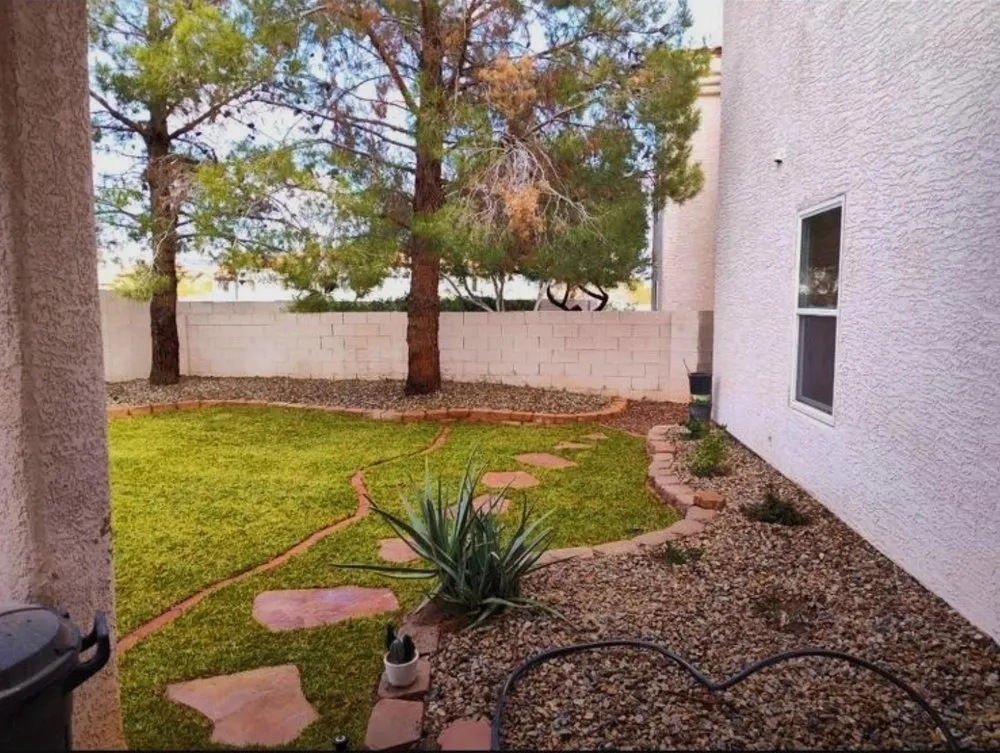 Professional yard cleanup service in North Las Vegas, NV by Growaseed Landscape
