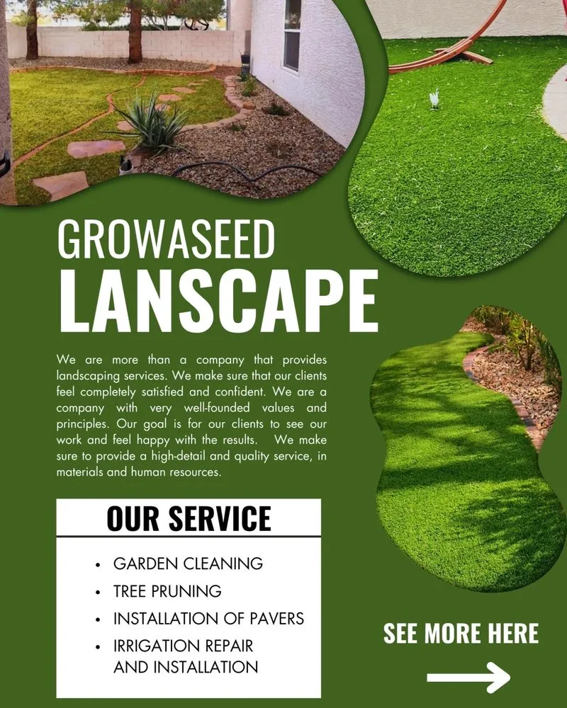 Professional lawn care service in North Las Vegas, NV - Growaseed Landscape