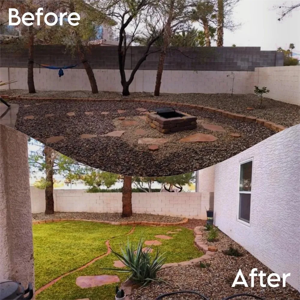 Reliable landscaping services for year-round maintenance in North Las Vegas, NV by Growaseed Landscape