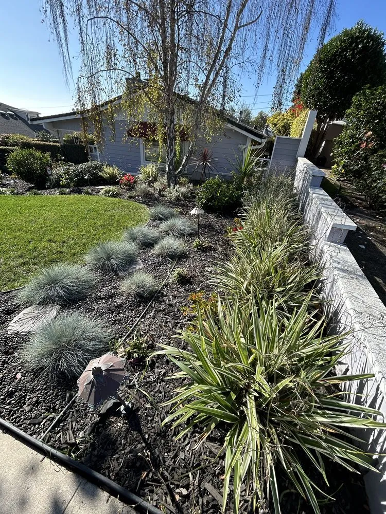 Custom landscape installation in Simi Valley, CA by Growe Landscapes