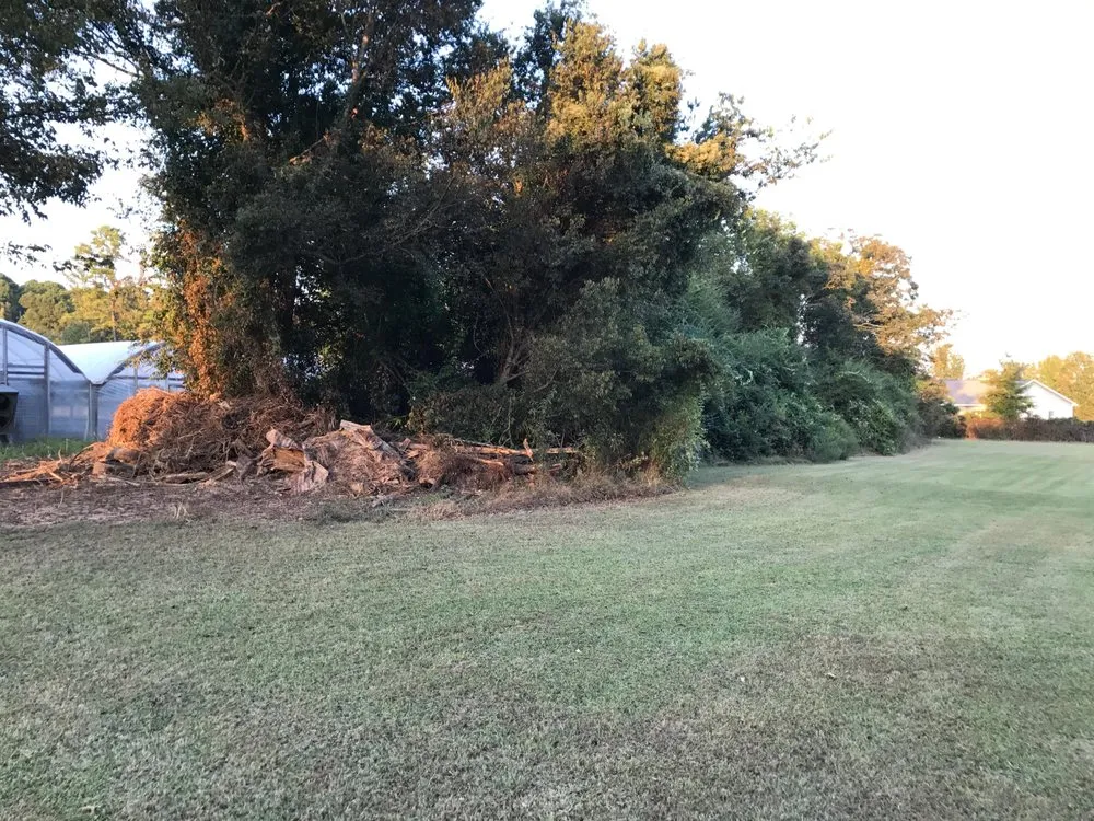 Trusted landscape installation experts serving Mayflower, AR - Growfully