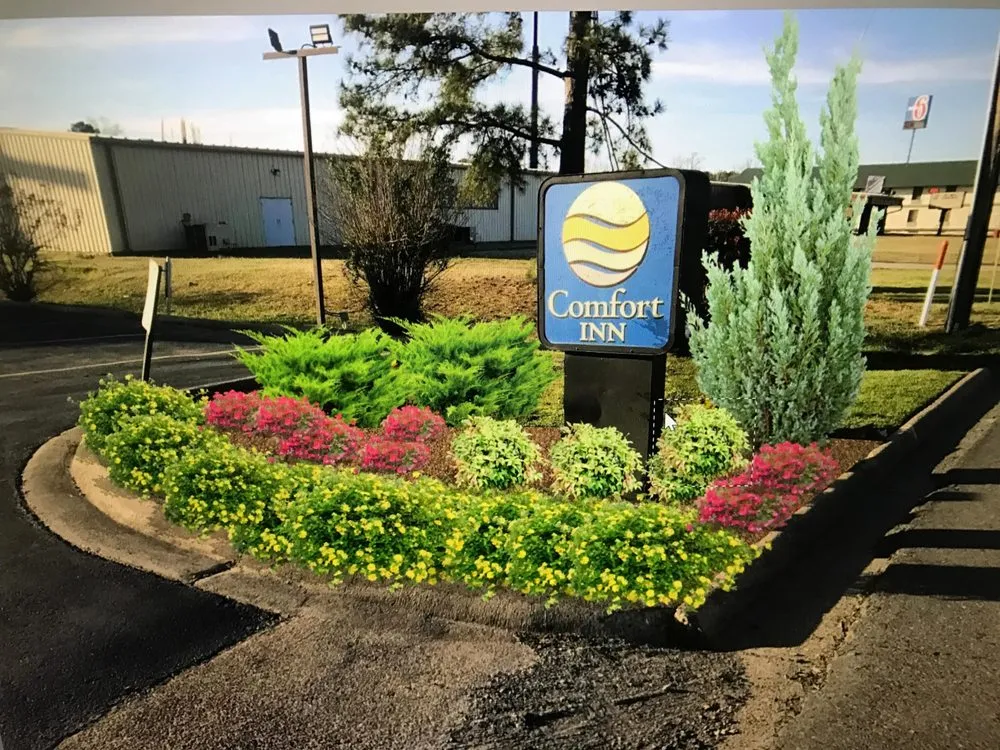 Reliable landscape design in Mayflower, AR - Growfully