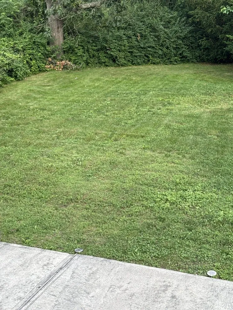 Trusted yard maintenance in West Islip, NY - Growin Green Landscape