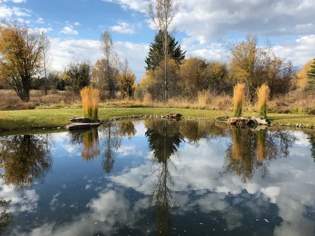 Affordable yard cleanup service for outdoor upgrades in Wilson, WY by Growin Green