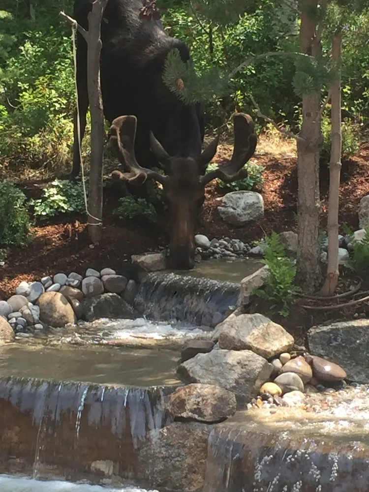 Expert lawn mowing service for residential properties across Wilson, WY - Growin Green