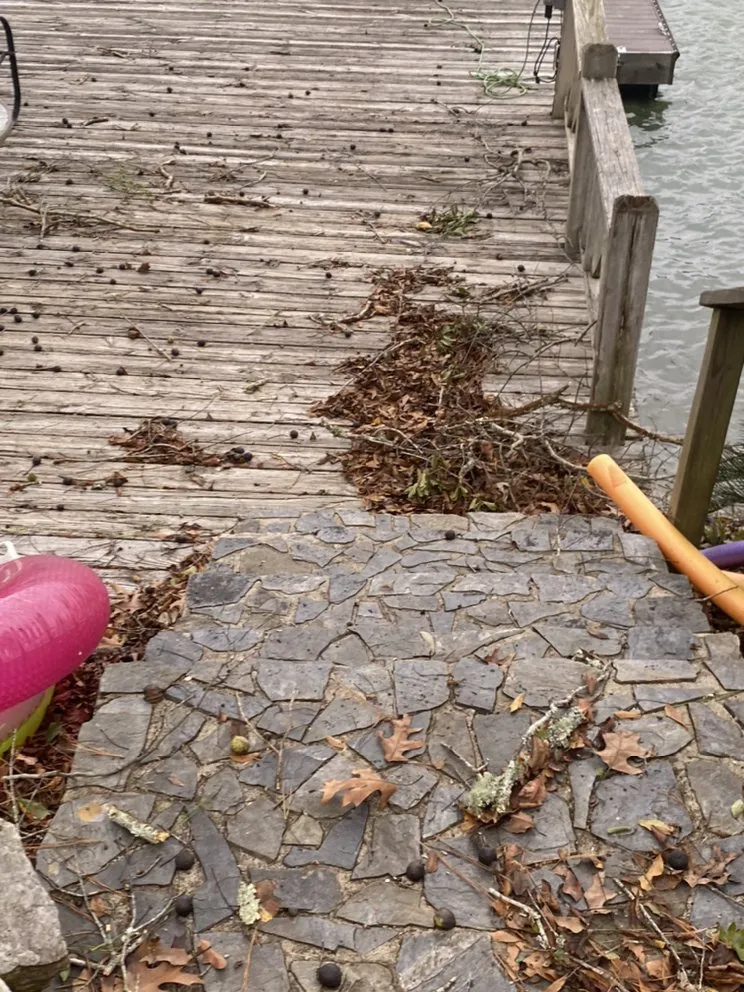 Professional outdoor landscaping experts serving Montgomery, AL - Growing Advisor Pro