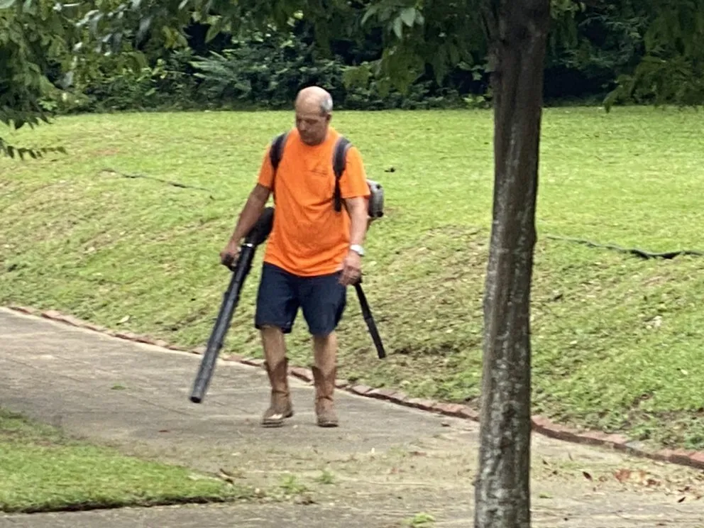 Professional landscape installation in Montgomery, AL - Growing Advisor Pro