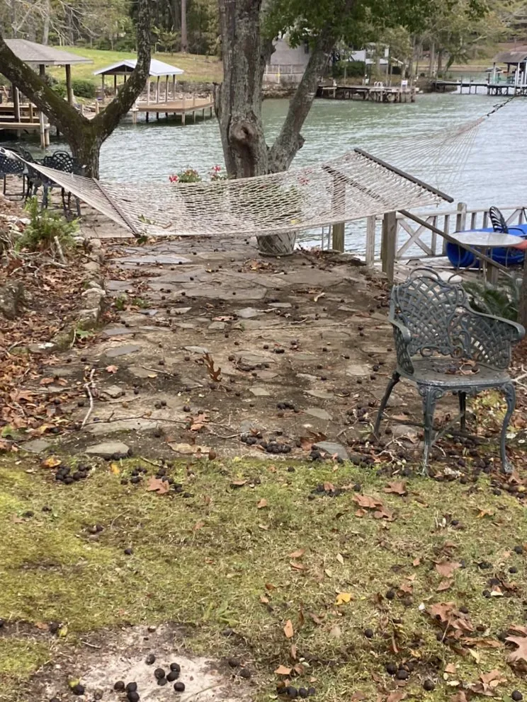 Expert lawn mowing service in Montgomery, AL by Growing Advisor Pro