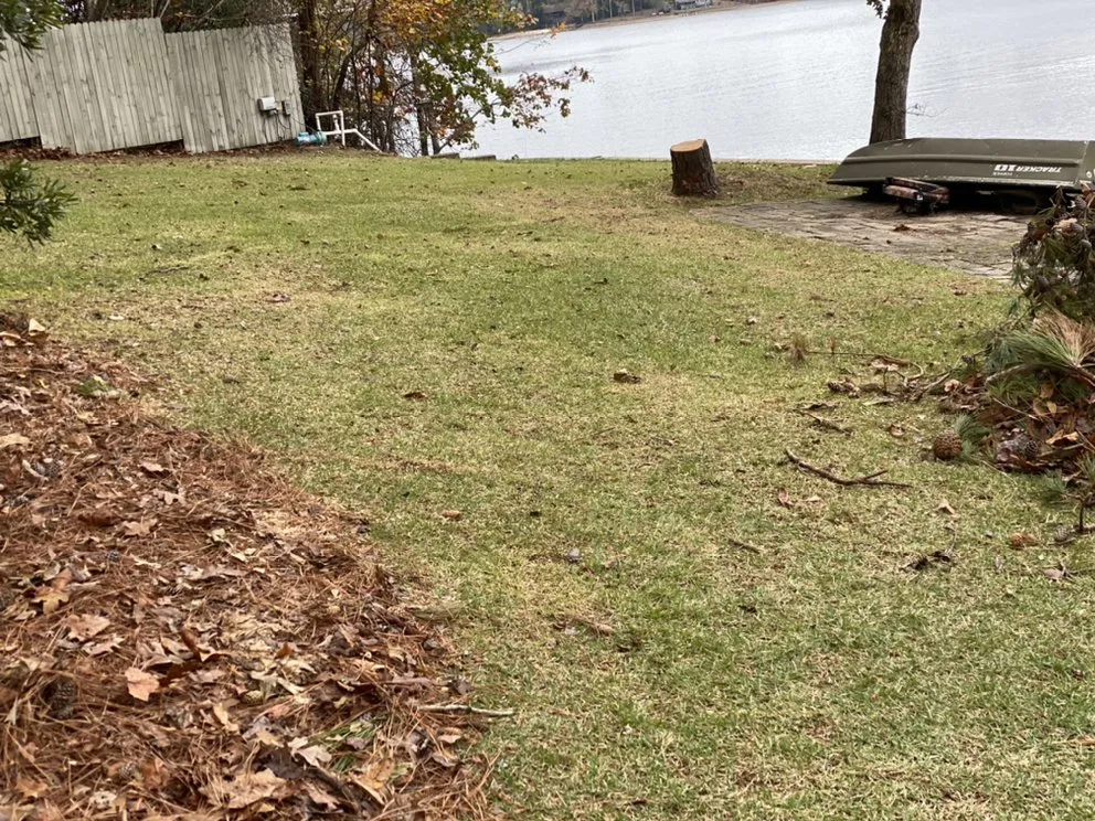 Affordable lawn care service experts serving Montgomery, AL - Growing Advisor Pro