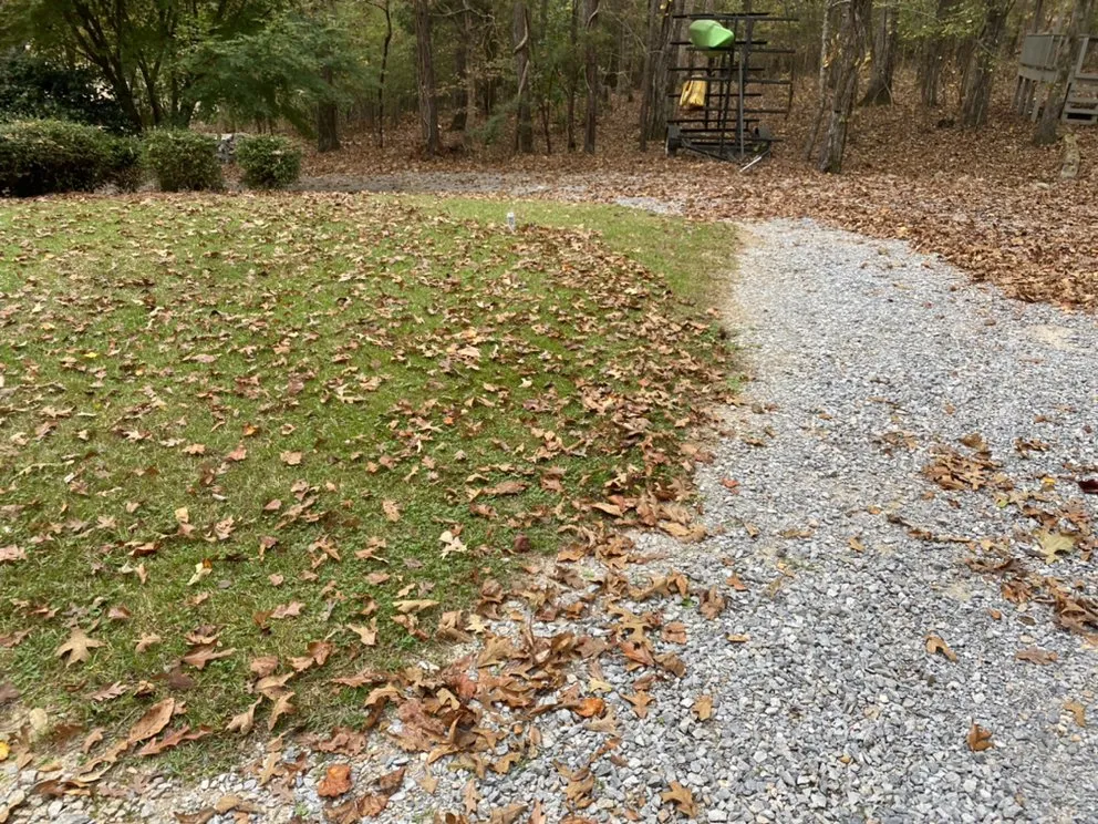 Professional lawn mowing service in Montgomery, AL by Growing Advisor Pro