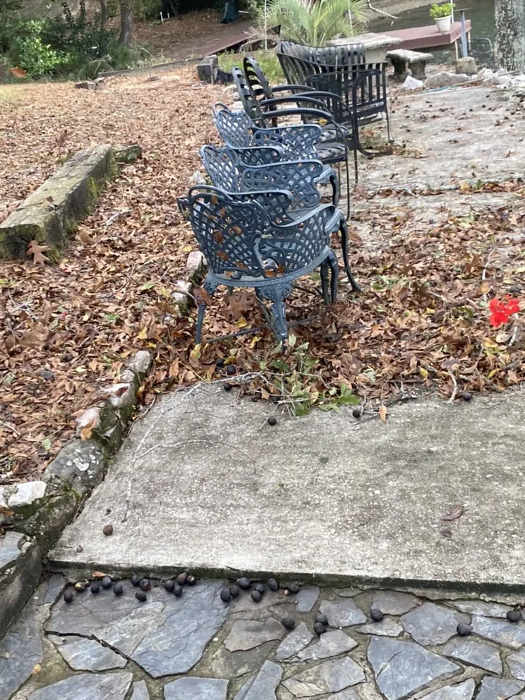 Top-rated yard maintenance in Montgomery, AL - Growing Advisor Pro