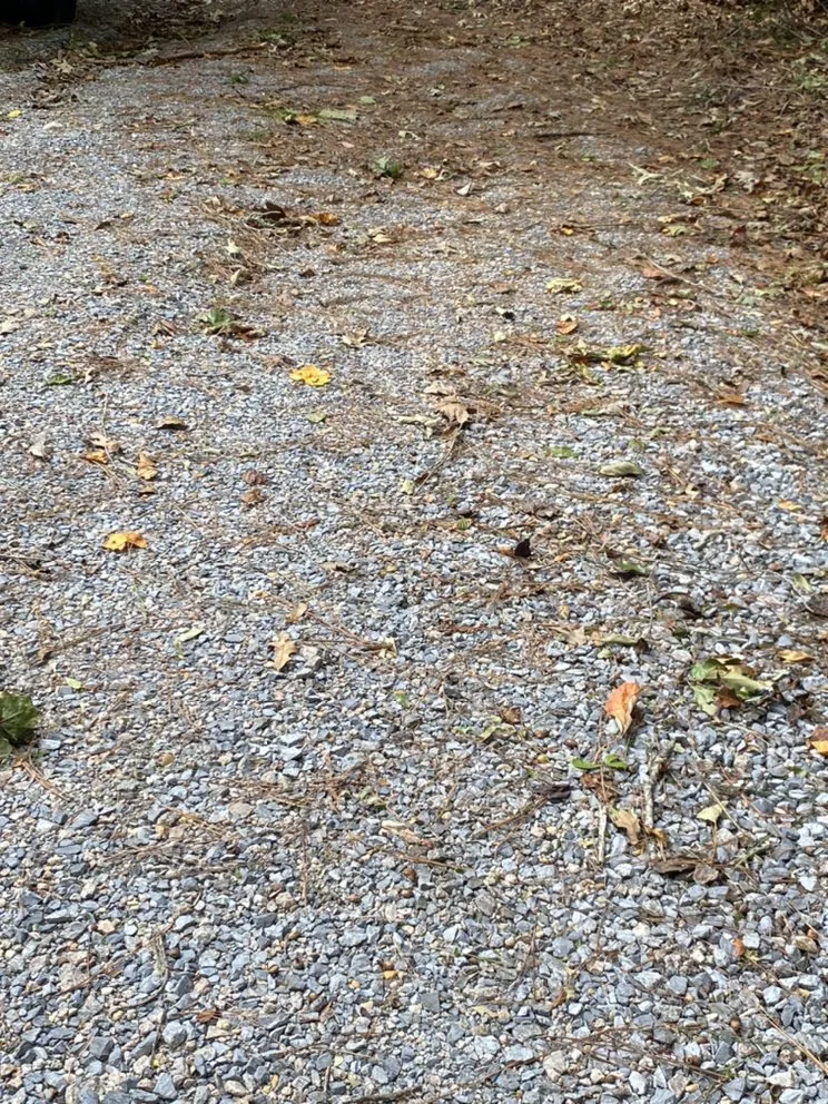 Custom landscape installation experts serving Montgomery, AL - Growing Advisor Pro