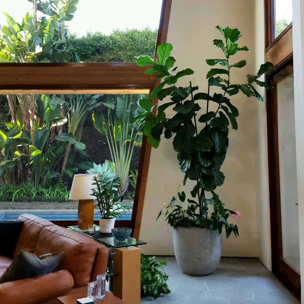 Reliable landscape installation for year-round maintenance across Costa Mesa, CA - Growing Eden