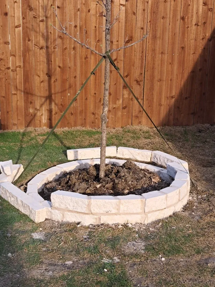 Local yard cleanup service for outdoor upgrades across Princeton, TX - Growing Flowers