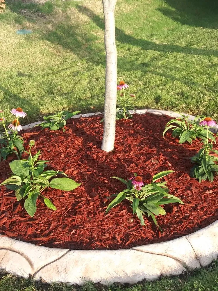 Top-rated landscaping services in Princeton, TX by Growing Flowers