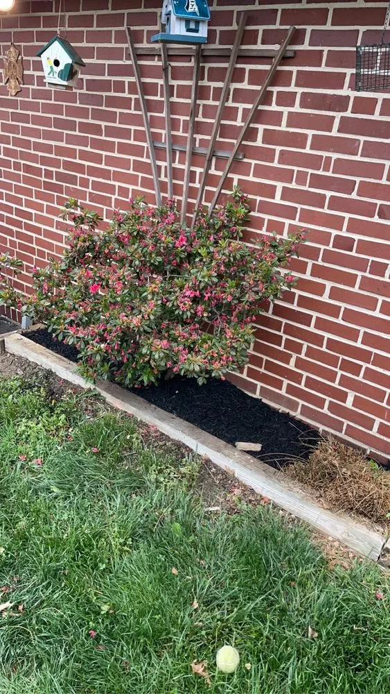 Professional landscape installation in Philadelphia, PA by Growing Grass Landscaping