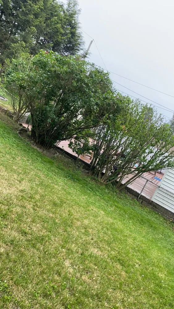 Local residential landscaping in Philadelphia, PA - Growing Grass Landscaping