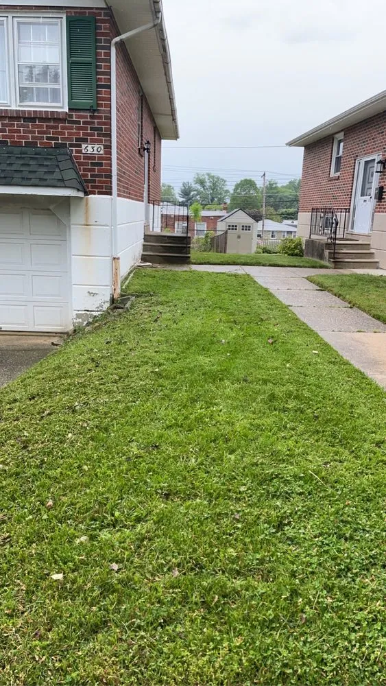 Reliable outdoor landscaping in Philadelphia, PA by Growing Grass Landscaping