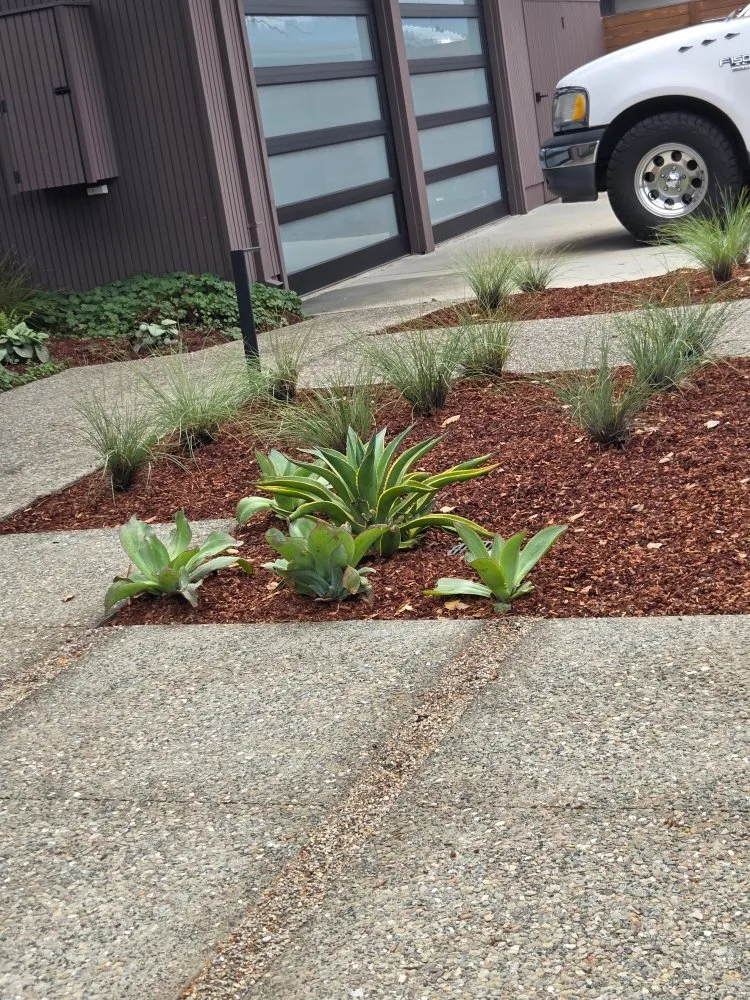 Custom landscape installation experts serving San Bruno, CA - Growing Green Em