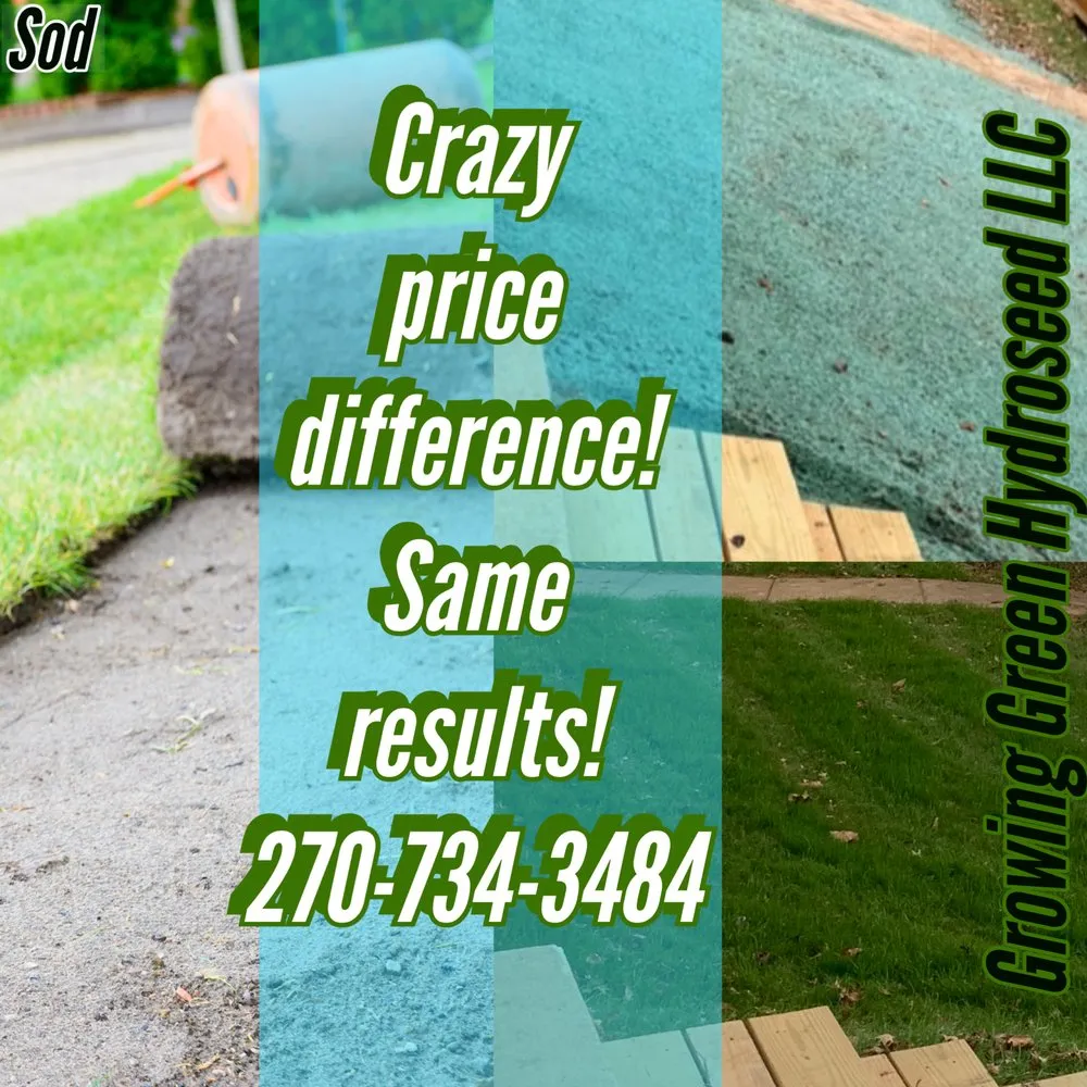 Professional landscape design with custom design in Magnolia, KY by Growing Green Hydroseed