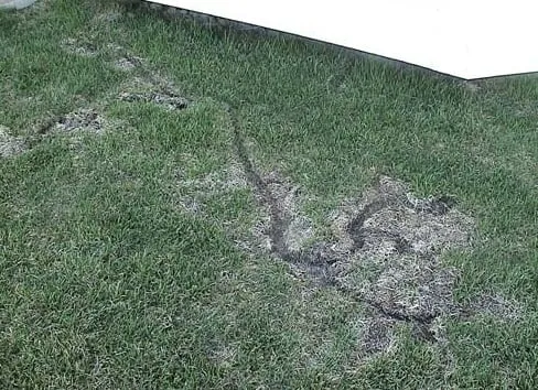 Professional residential landscaping experts serving Denver, CO - Growing Green Lawn Services