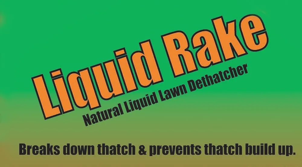 Expert yard cleanup service in Arvada, CO - Growing Green Lawn Solutions