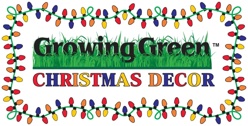 Expert yard cleanup service in Arvada, CO - Growing Green Lawn Solutions