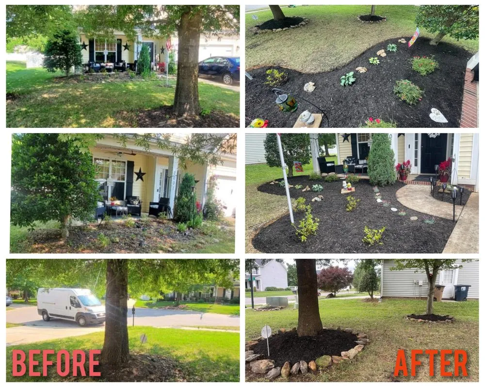 Trusted lawn care service for beautiful yards across Monroe, NC - Growing Green