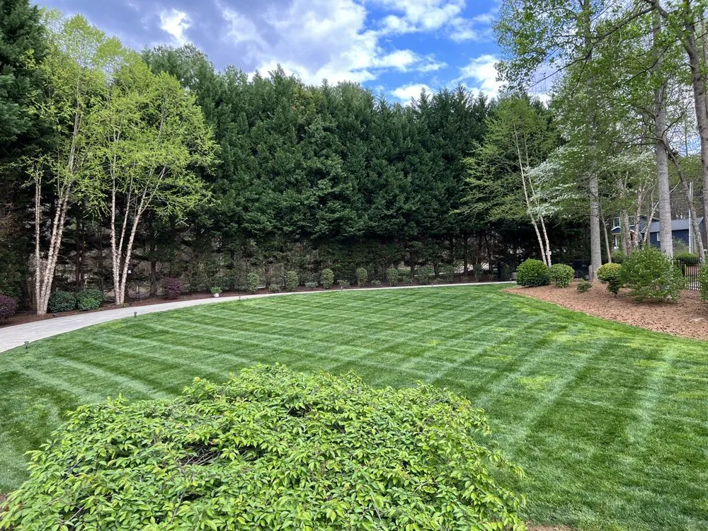 Reliable lawn care service experts serving Mooresville, NC - Growing Green