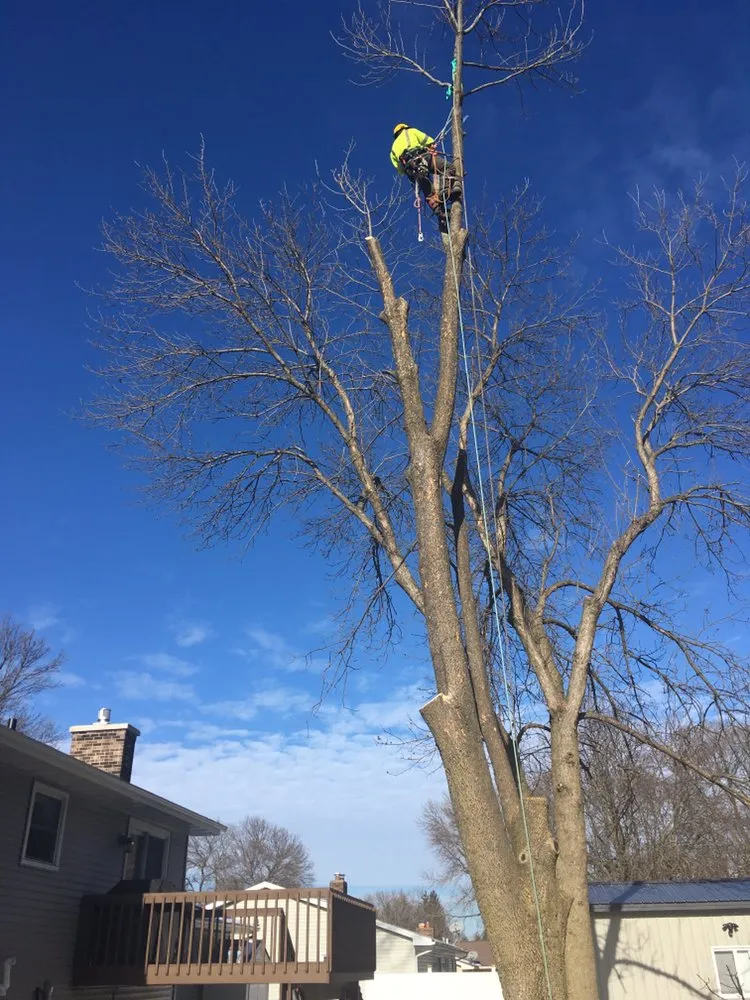 Local landscape design for year-round maintenance in Redgranite, WI by Growing Green Tree Care & Landscaping