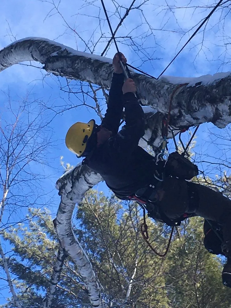 Expert yard cleanup service in Redgranite, WI - Growing Green Tree Care & Landscaping