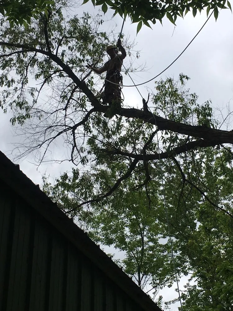 Trusted landscaping services in Redgranite, WI by Growing Green Tree Care & Landscaping