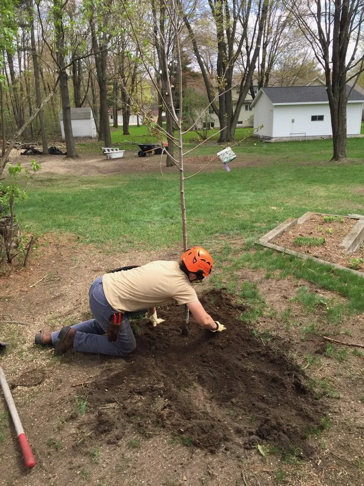 Local yard cleanup service experts serving Redgranite, WI - Growing Green Tree Care & Landscaping