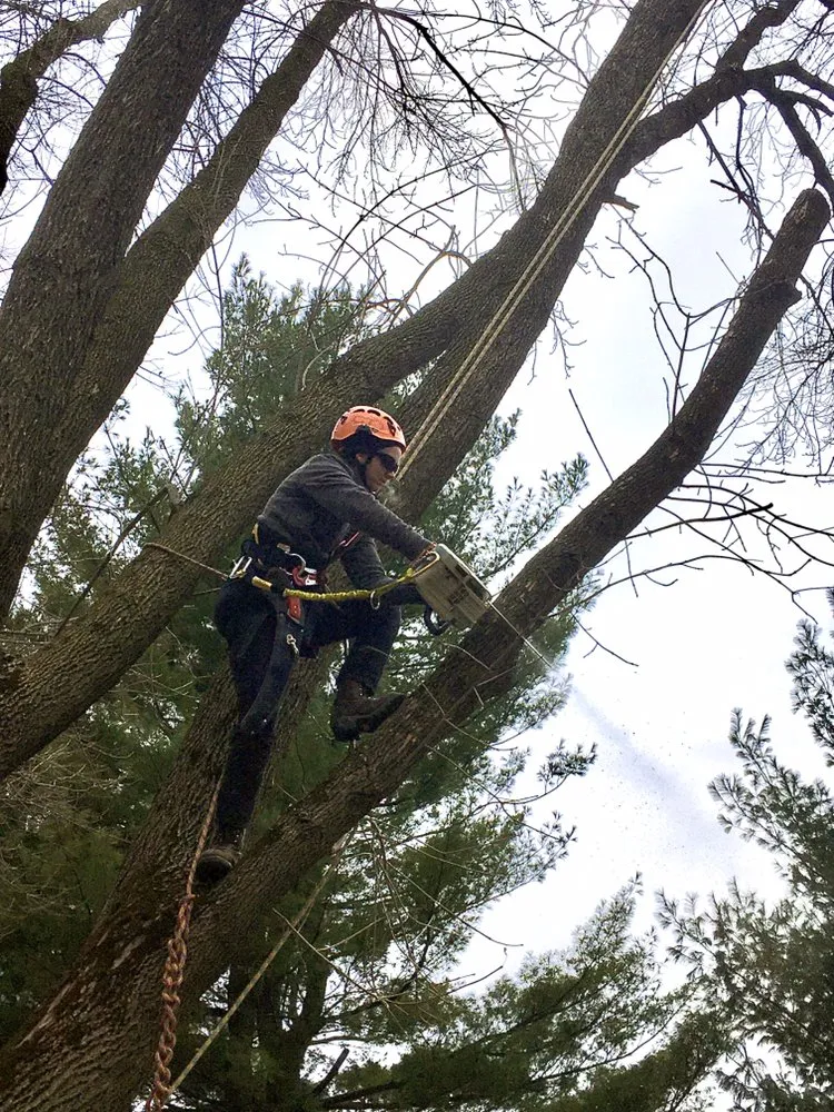 Custom yard maintenance near you in Redgranite, WI by Growing Green Tree Care & Landscaping