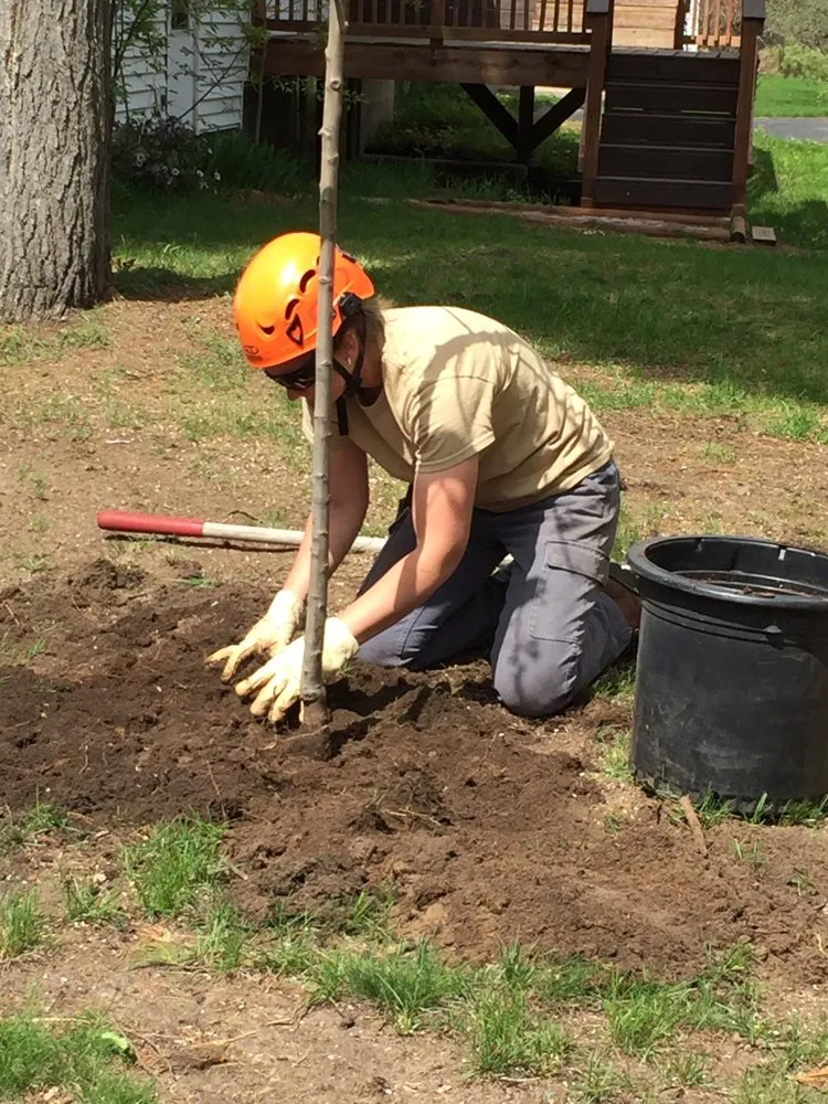 Trusted landscape installation in Redgranite, WI - Growing Green Tree Care & Landscaping