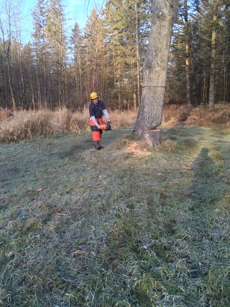 Reliable residential landscaping for homes in Redgranite, WI by Growing Green Tree Care & Landscaping