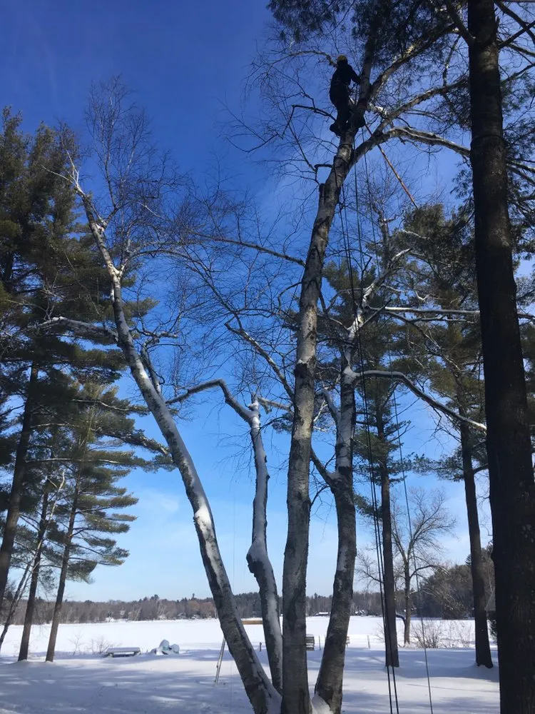 Professional landscape design in Redgranite, WI by Growing Green Tree Care & Landscaping