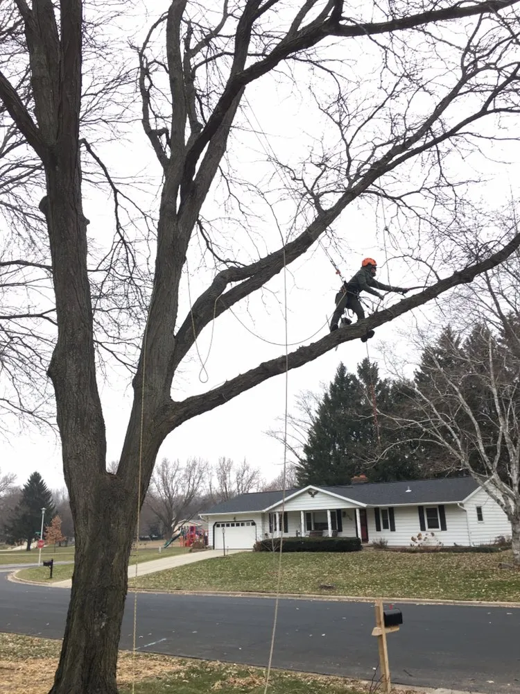 Affordable lawn care service in Redgranite, WI by Growing Green Tree Care & Landscaping