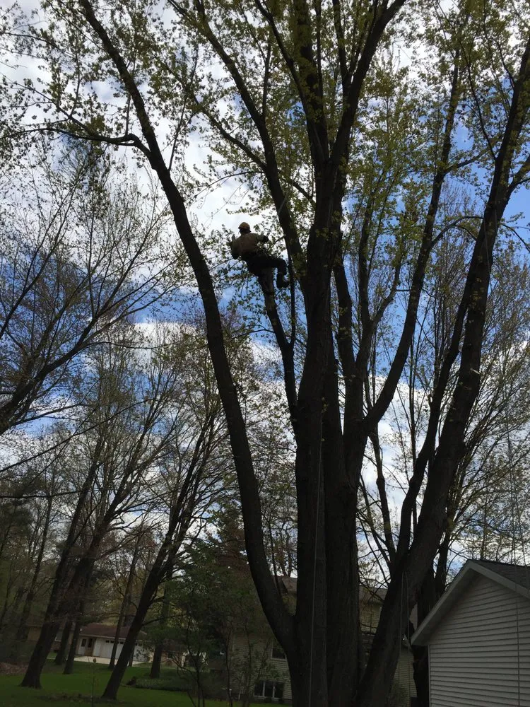 Expert residential landscaping for residential properties in Redgranite, WI by Growing Green Tree Care & Landscaping