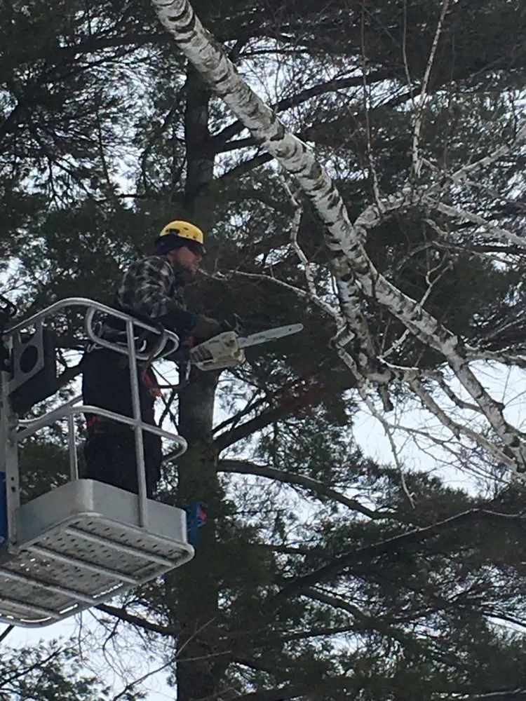 Trusted landscape design for outdoor upgrades across Redgranite, WI - Growing Green Tree Care & Landscaping