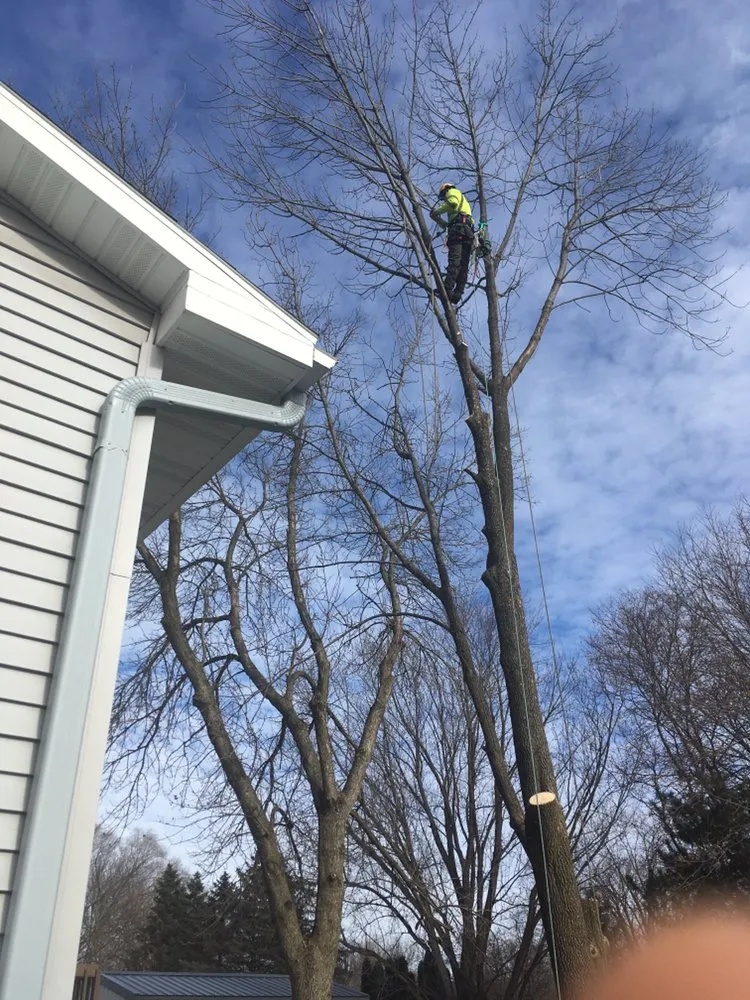 Reliable landscaping services in Redgranite, WI by Growing Green Tree Care & Landscaping