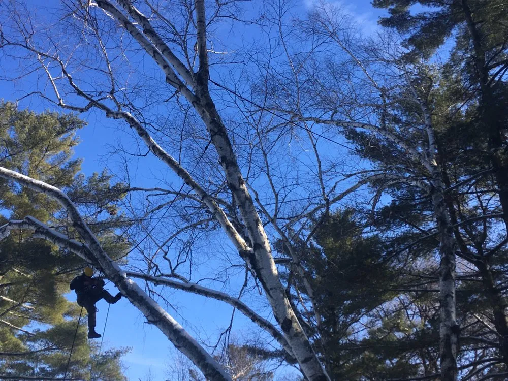 Reliable garden landscaping in Redgranite, WI by Growing Green Tree Care & Landscaping