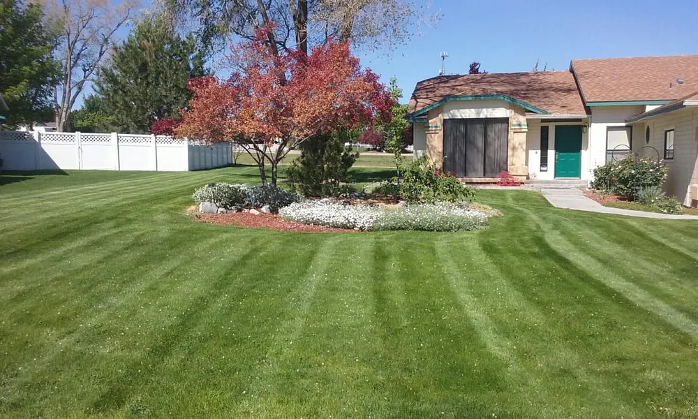 Trusted outdoor landscaping experts serving Nampa, ID - Growing Image