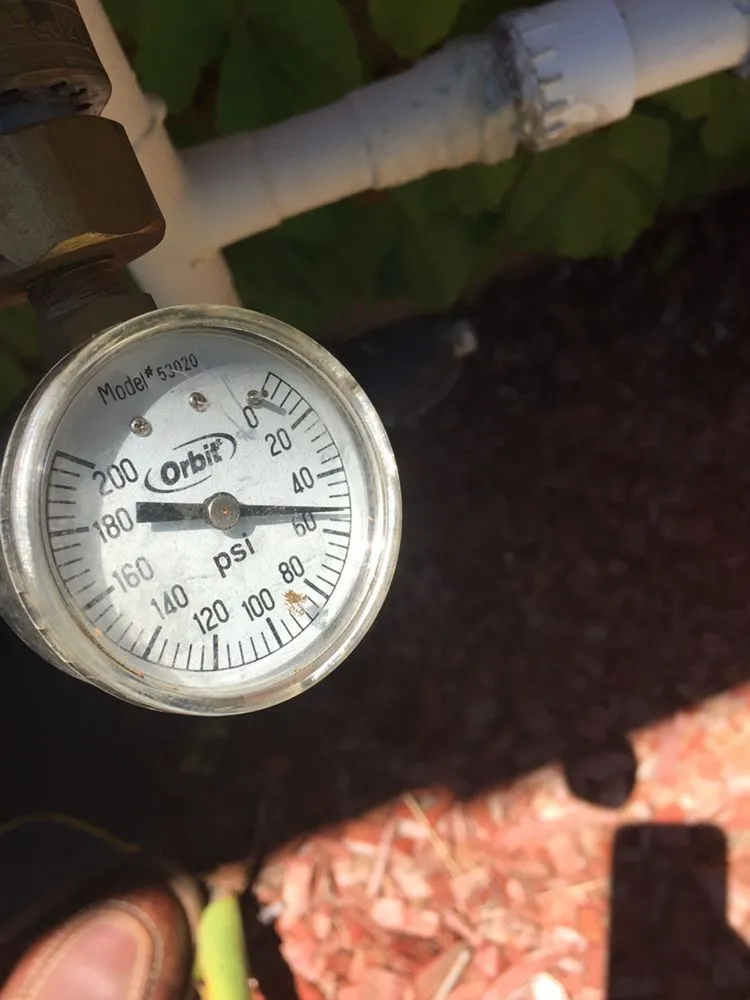 Local outdoor landscaping experts serving Fallbrook, CA - Growing Landscapes