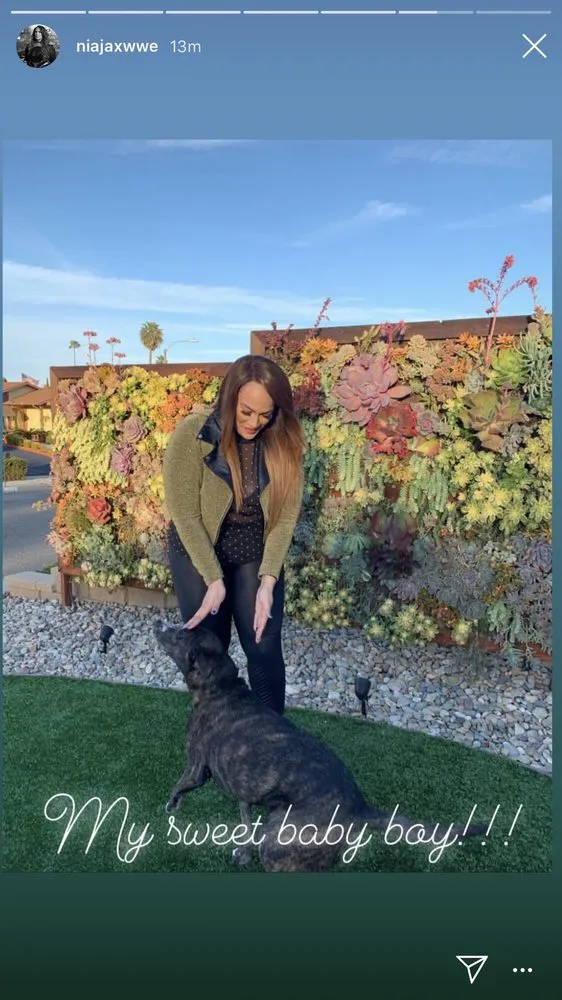 Expert garden landscaping in Fallbrook, CA by Growing Landscapes