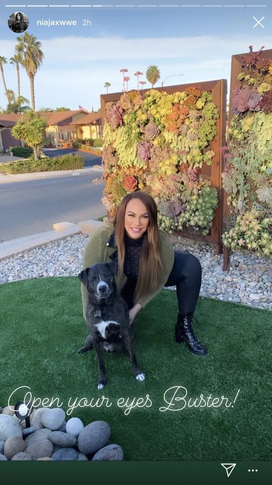 Custom lawn mowing service experts serving Fallbrook, CA - Growing Landscapes