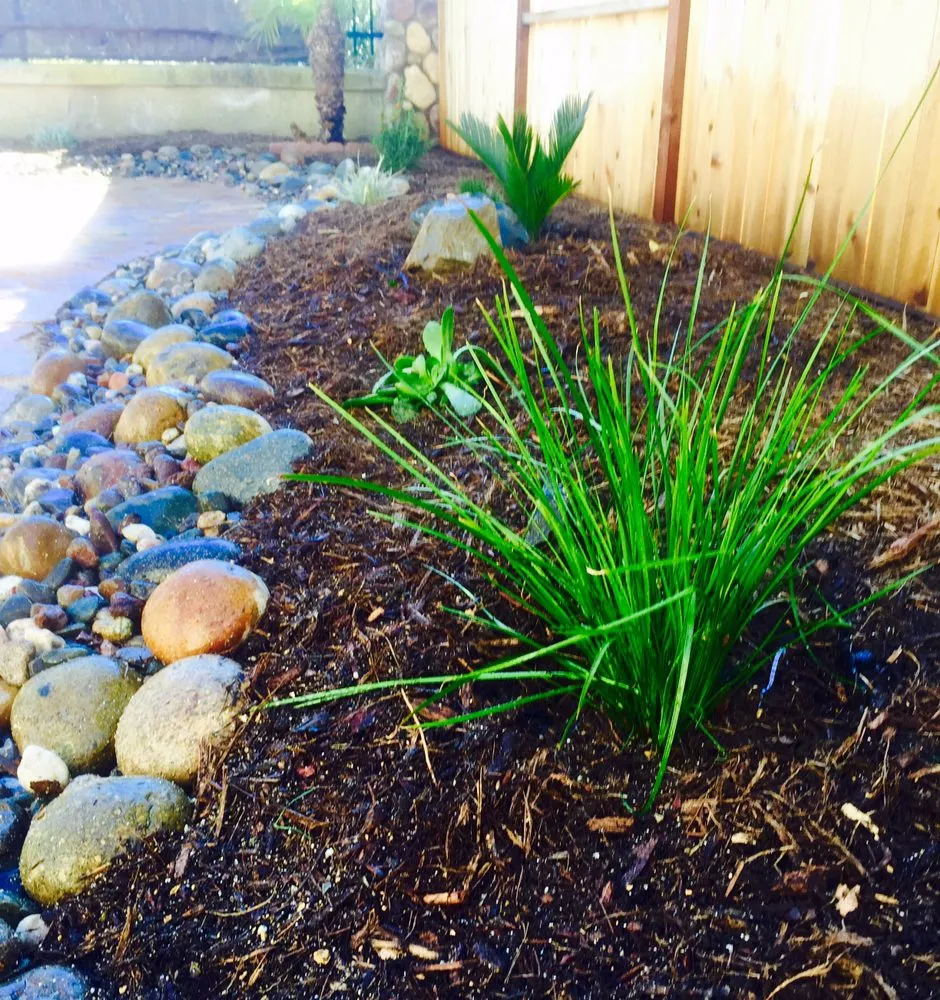 Top-rated yard cleanup service for outdoor upgrades across Fallbrook, CA - Growing Landscapes